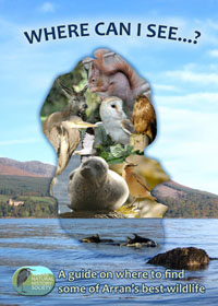 Where Can I See?  Arran Wildlife Guide